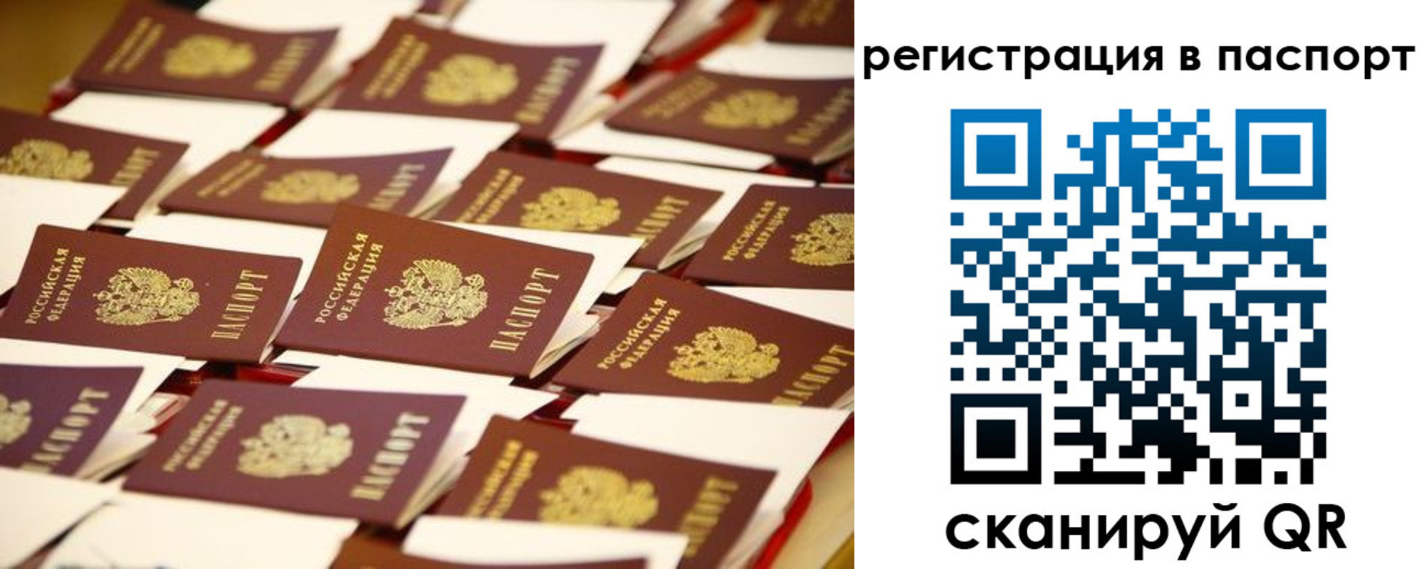 прописка гарантия в Истре